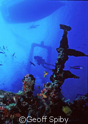 taken at "the ships graveyard", Lavhiyani Atoll, Maldives by Geoff Spiby 